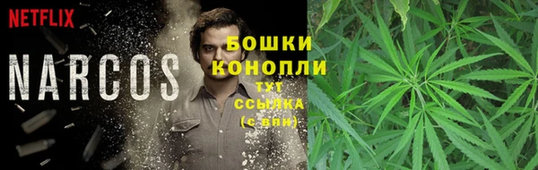 мет Алзамай