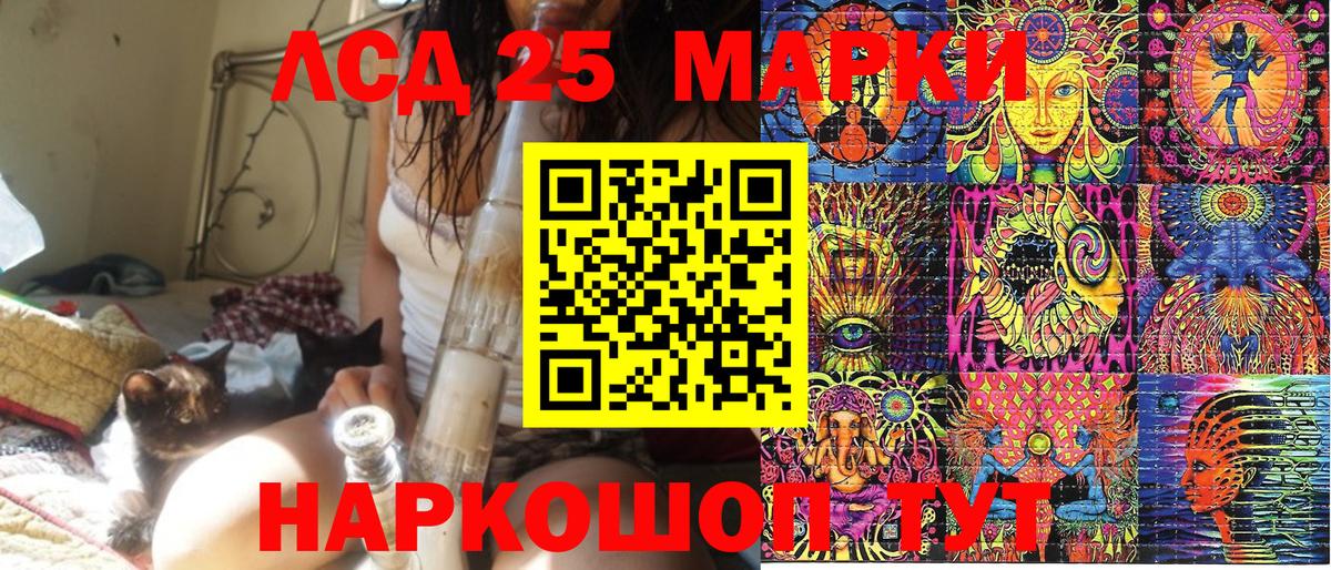 Наркотические марки 1,8мг  Вход с VPN  закладка  Камышин  Наркотические марки 1,8мг  Наркотические марки 